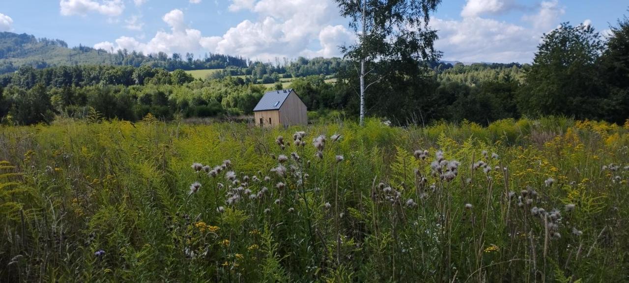 Dom Wsrod Gwiazd Villa Jarnołtówek Екстериор снимка